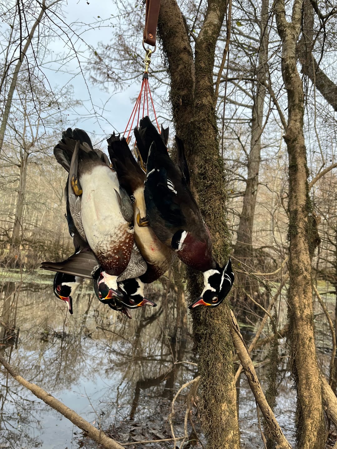 Customer photo review of Modular Panel Hunting Blind | A-Frame Pop Up Duck & Goose Blinds | Portable 3-4 Person Waterfowl Ground Blind Camo