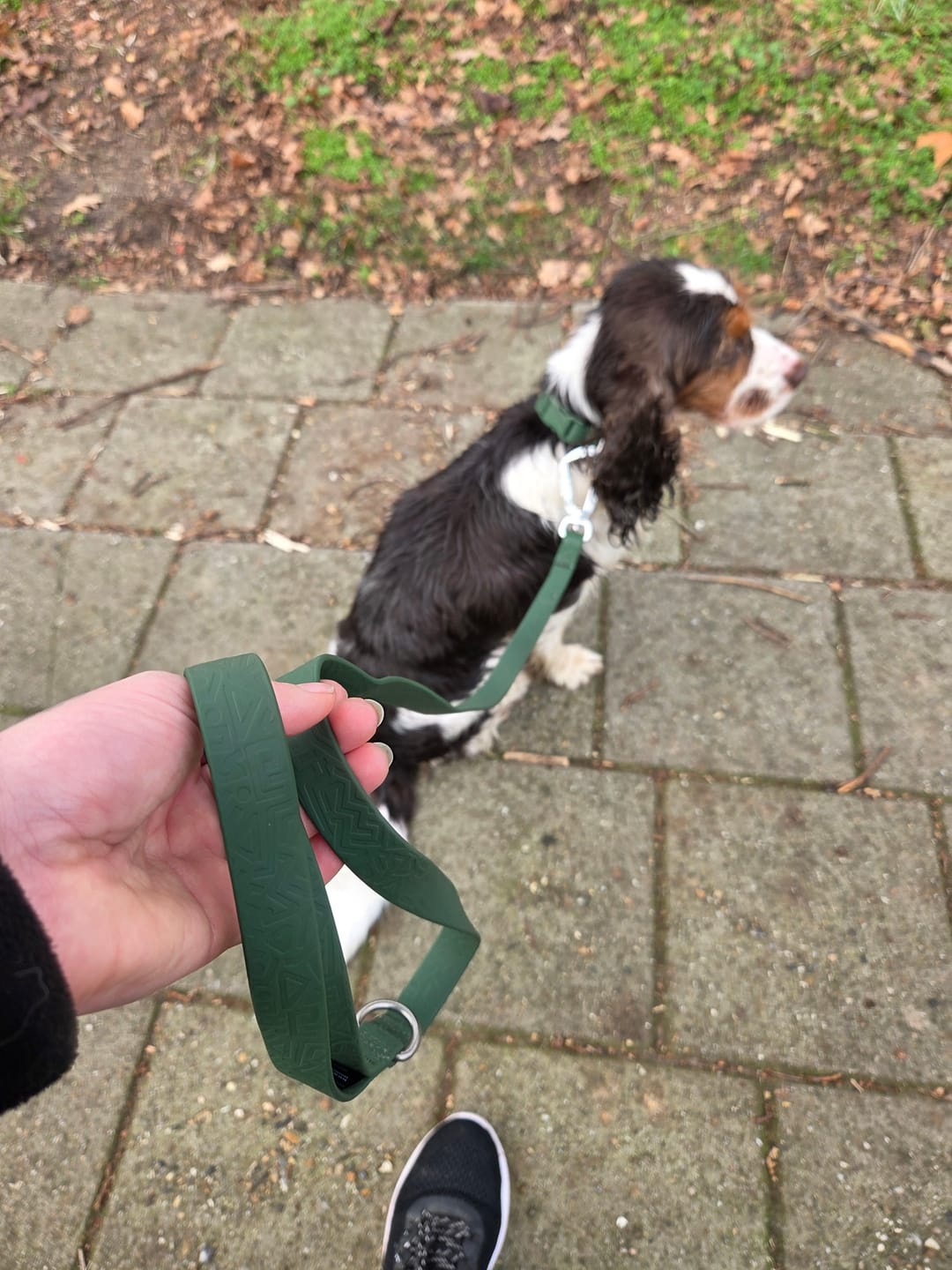 Customer photo review of Tidal Waterproof Lead