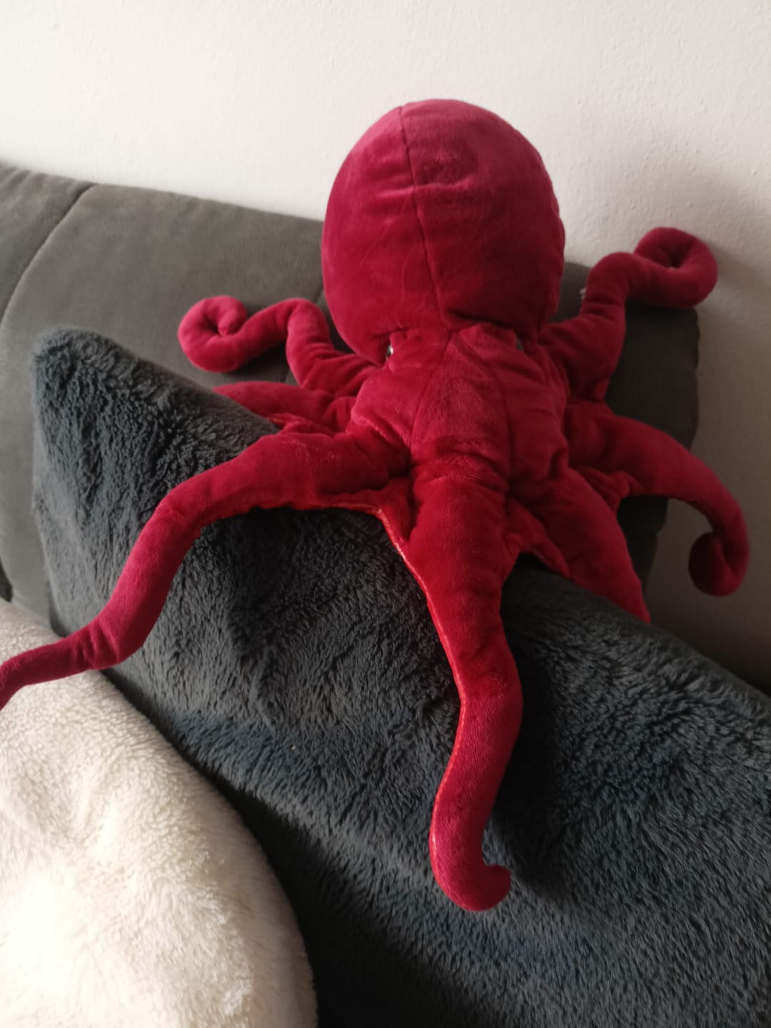 Customer photo review of Red Octopus Soft Stuffed Plush Toy