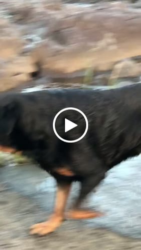 Customer video review of Freedom Joint Drops