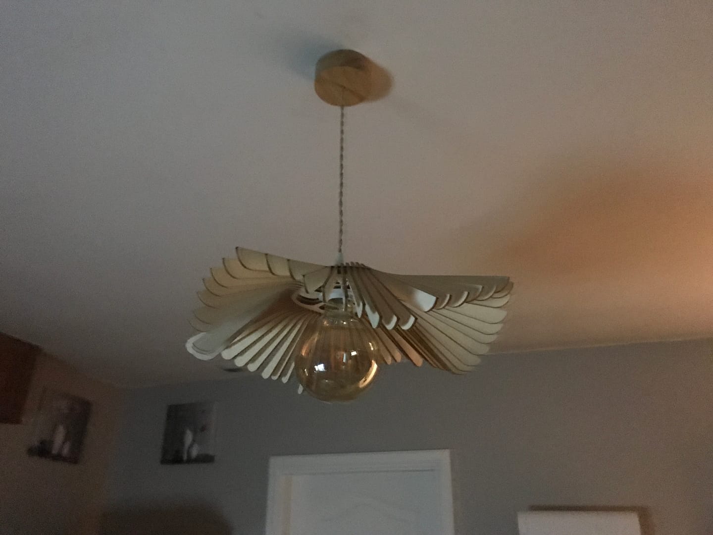 Customer photo review of Rose | Suspension