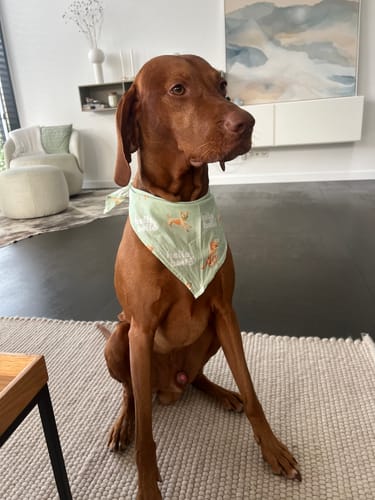 Customer photo review of Frischfutter für Energiebedarf von 1501 kCal/Tag