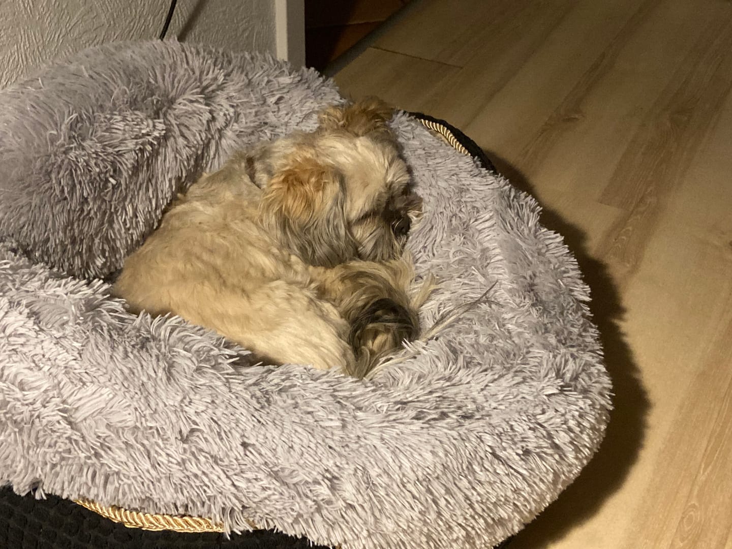 Customer photo review of Fluffy Donut Hundeseng, grå