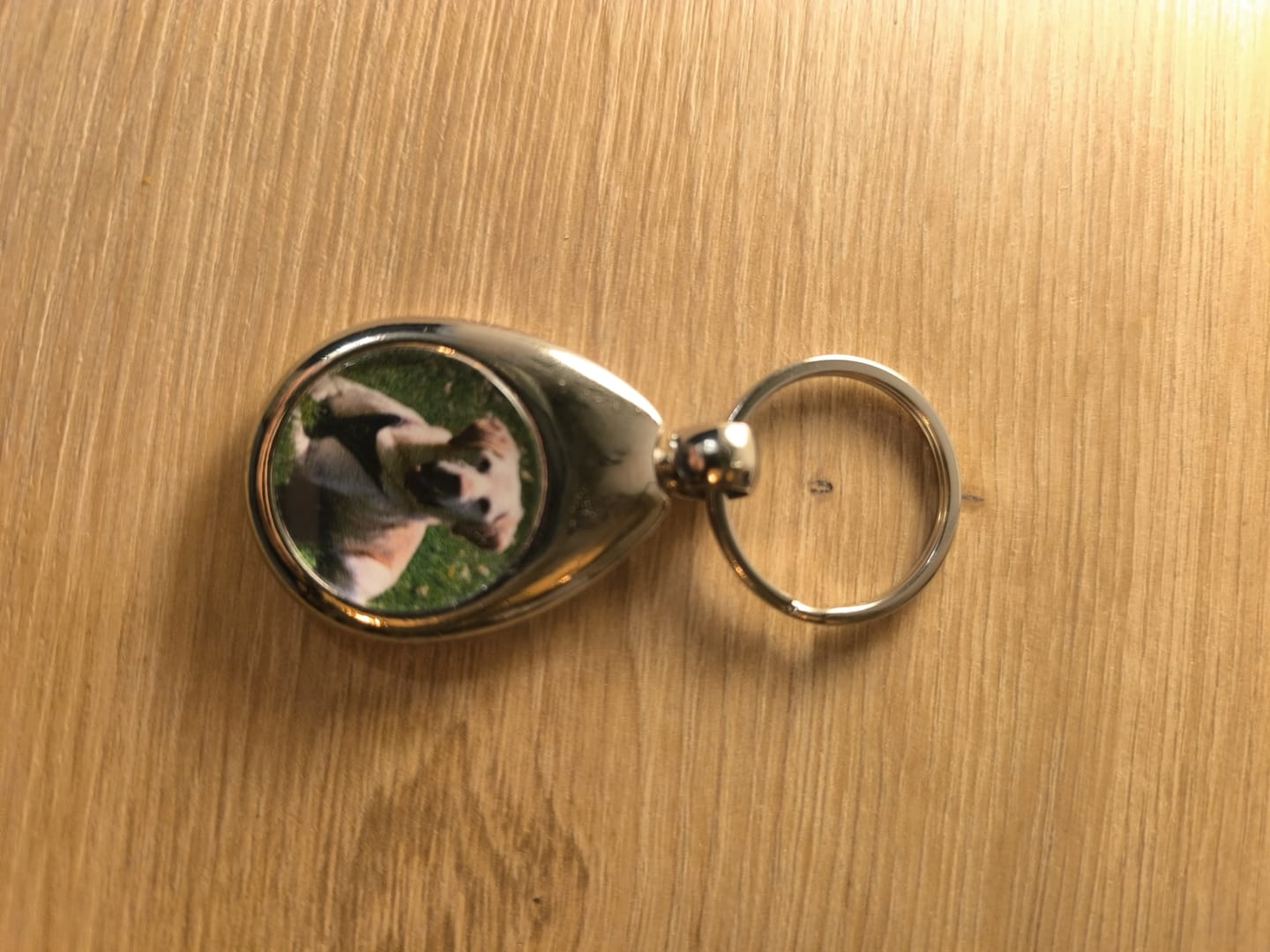 Customer photo review of Schlüsselanhänger mit Hundefoto