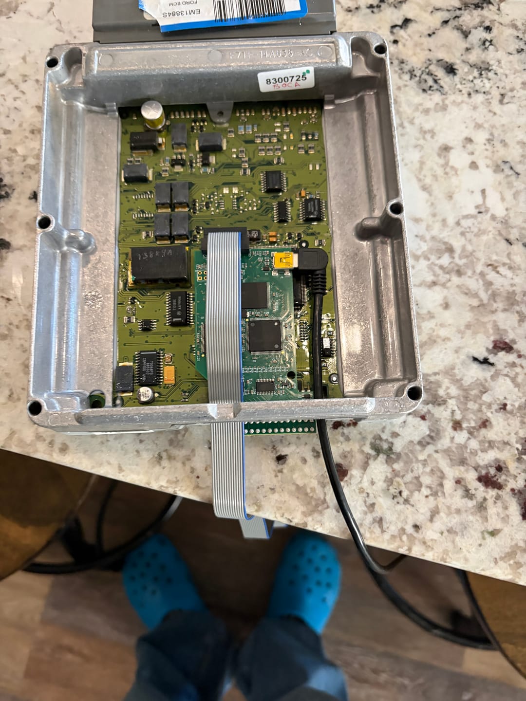 Customer photo review of Hydra Ribbon Cable - Various Lengths