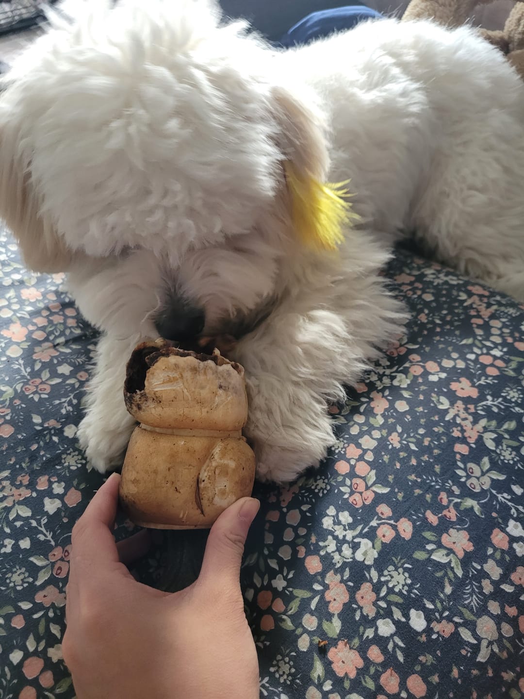 Customer photo review of Trail Mix