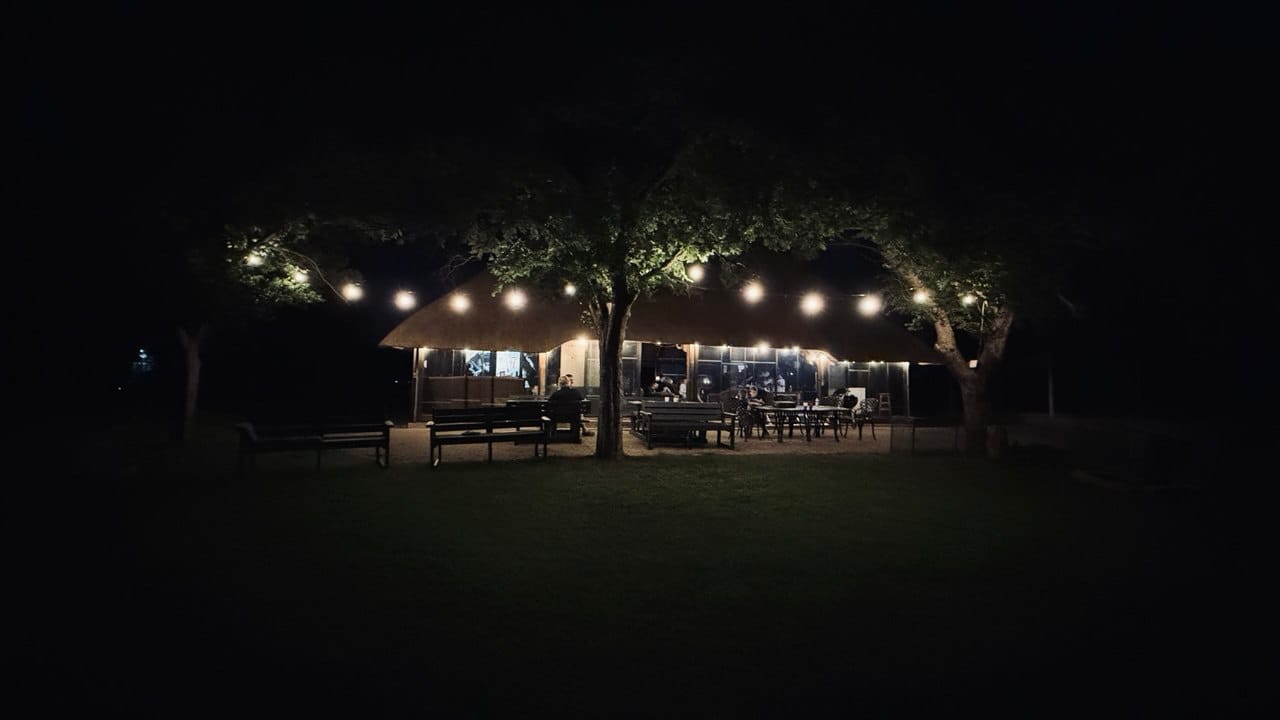 Customer photo review of Plug-In Festoon Bulb String Lights