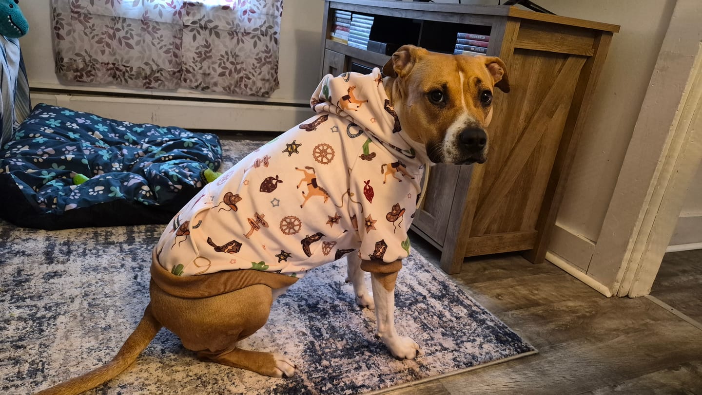 Customer photo review of Rodeo Dog Hoodie