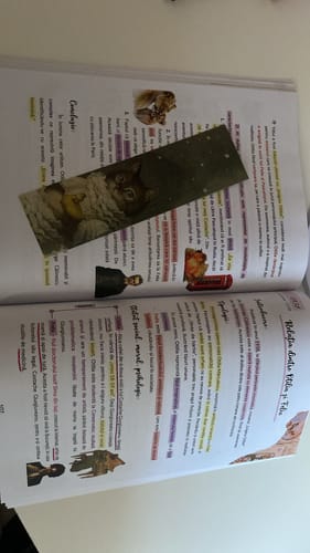 Recenzie cu fotografie de la un client despre Carte Română Bacalaureat Bacademia (temă și viziune, caracterizare, relație) - Ediția II
