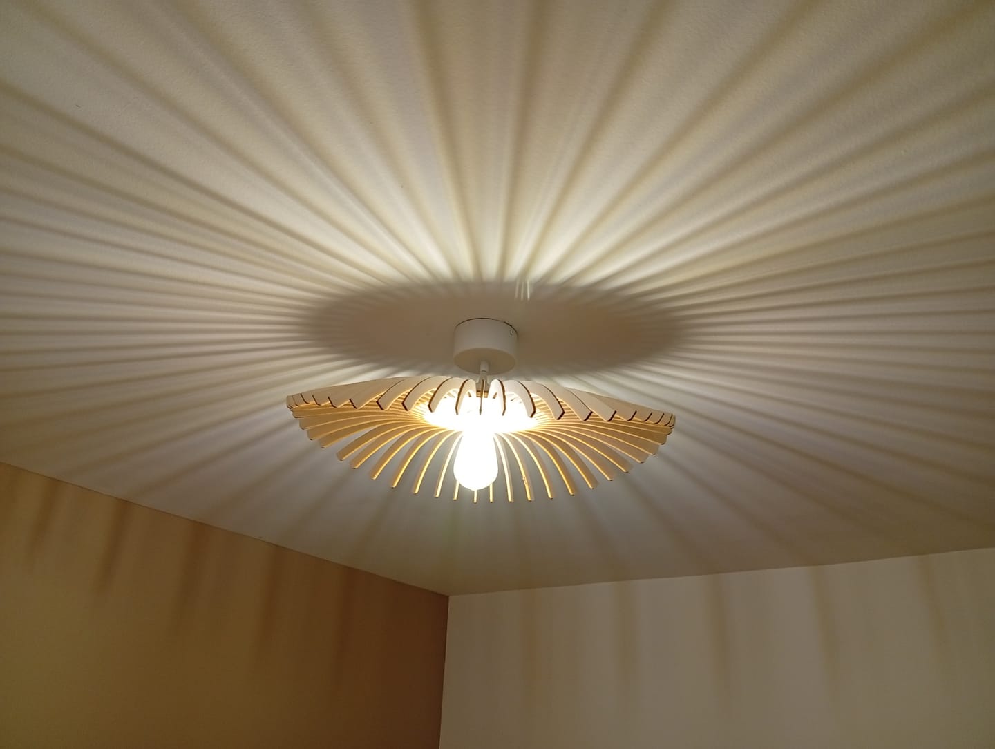Customer photo review of Cygne | Suspension