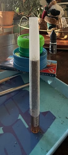 Customer photo review of Proper Tips - Loki x Irrid