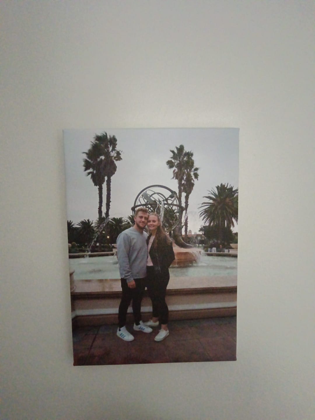 Customer photo review of 11 Piece Canvas Combo