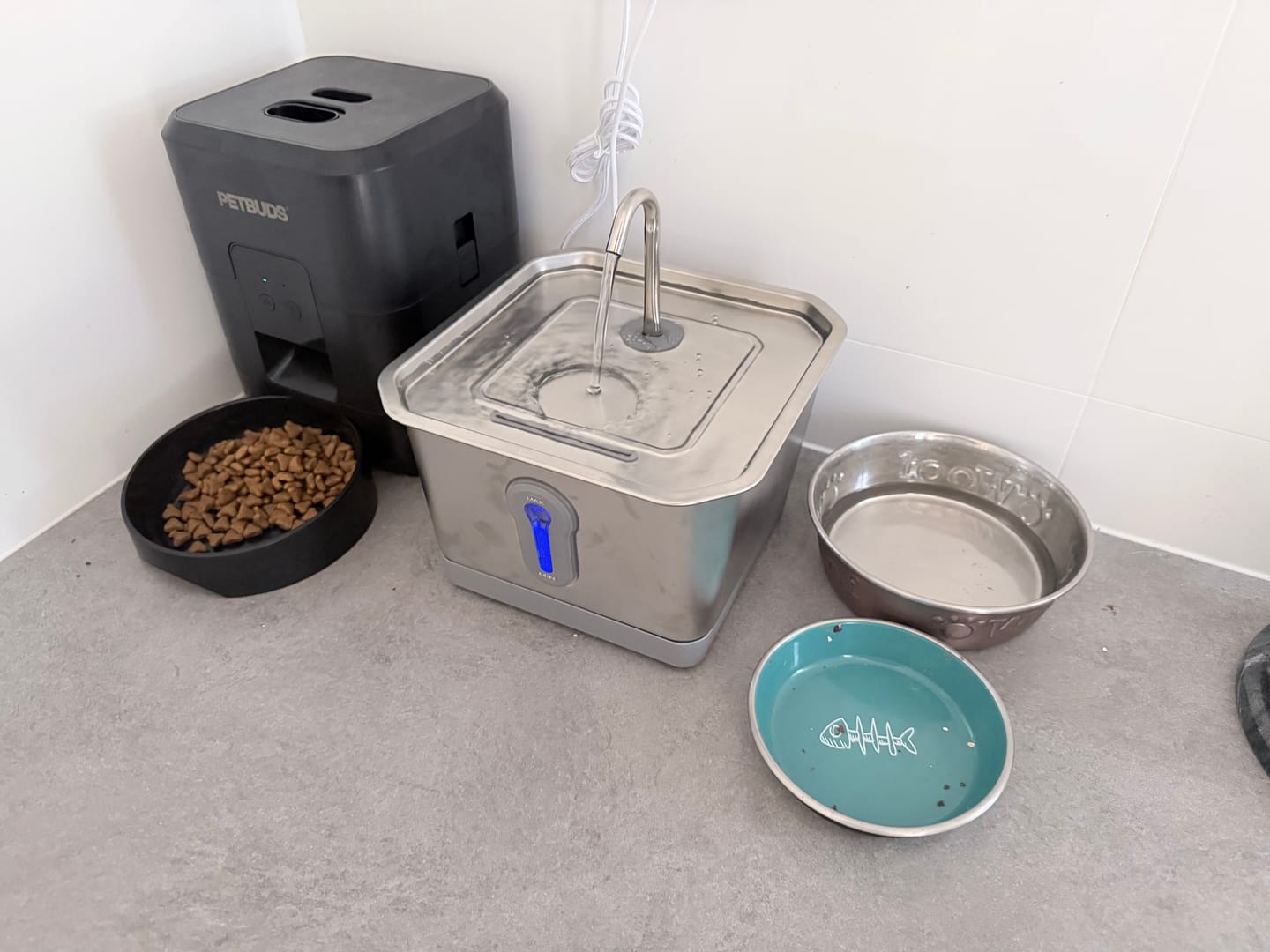 Customer photo review of Petbuds Smart Cat Drinking Fountain