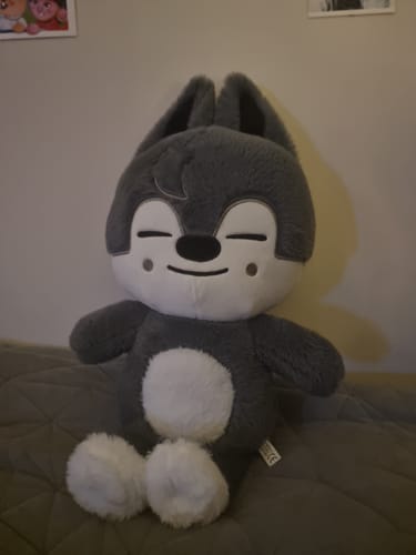 Customer photo review of SKZ Teddybear Plush