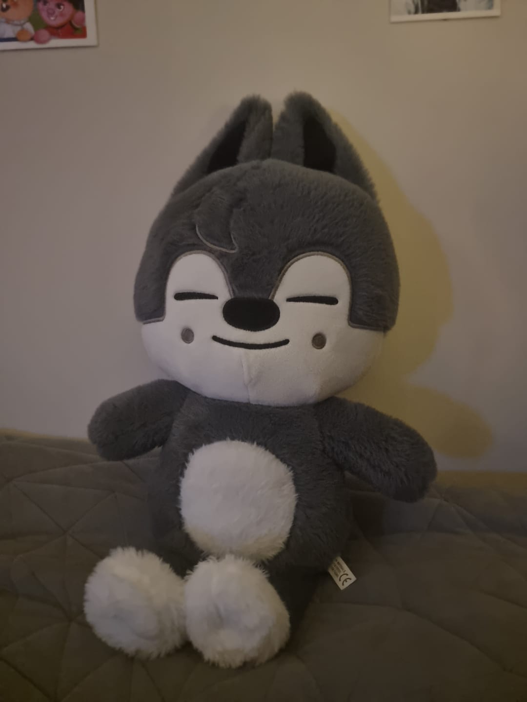 Customer photo review of SKZ Teddybear Plush