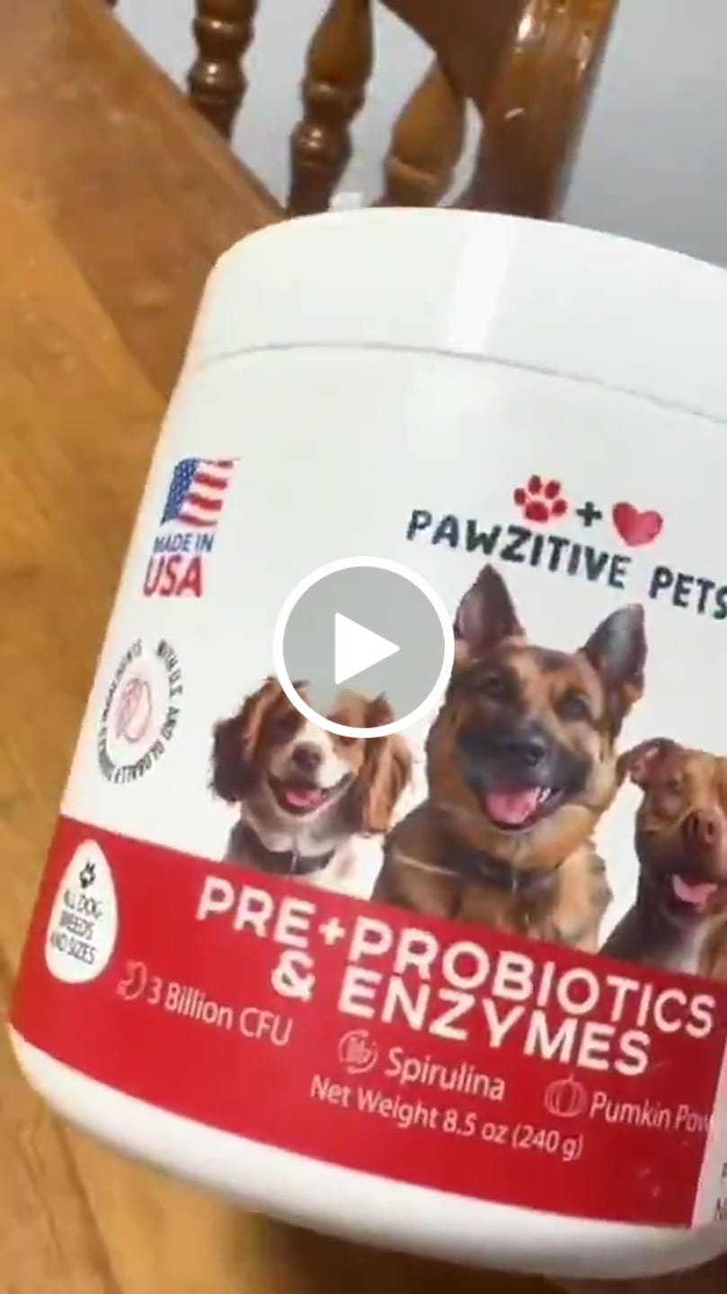 Customer video review of Probiotics for Dogs Digestive Health – 120 Soft Chews
