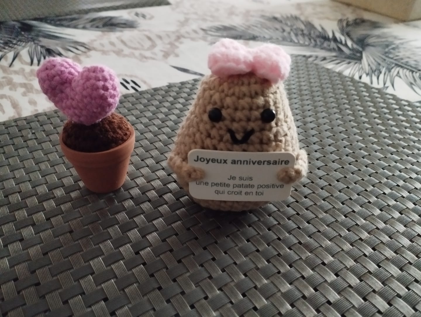Customer photo review of Lola