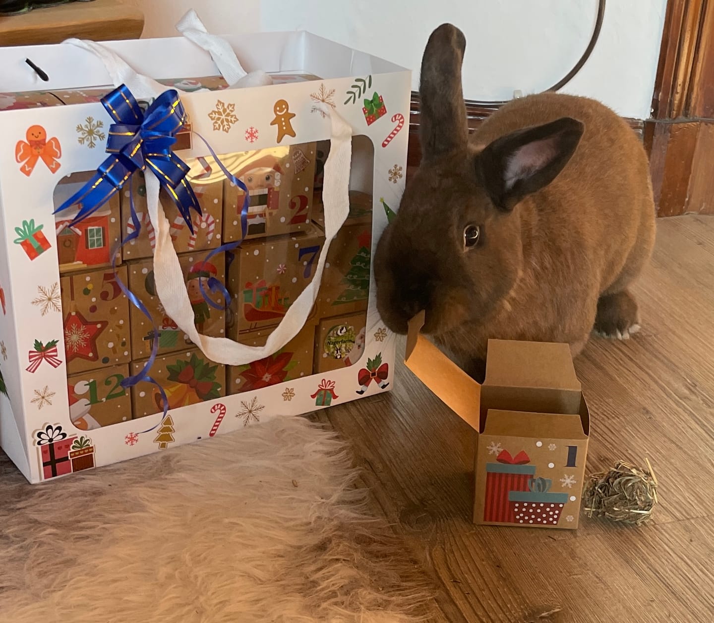 Customer photo review of 🎁Weihnachtskalender für Dich & Deine Fellnasen – 24 Tage voller Freude