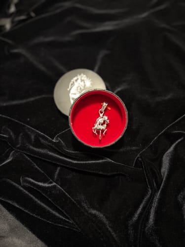 Reviewer's Zodiac Pendant in its round, red-lined box, resting on a black velvet surface.