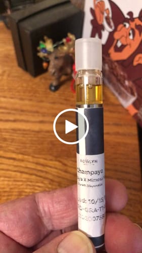 Customer video review of Champaya Disposable (.5g)