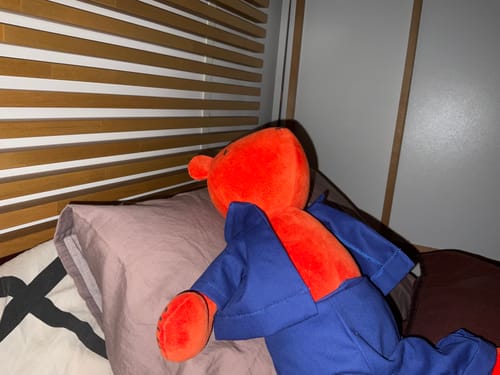 Customer photo review of JERMAINE, L’OURSON - GRAND