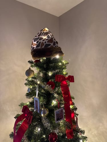 Dominic C. review of Hat of the Month Crew | Skip the Line image 1 out of 1