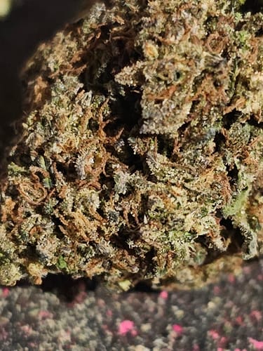 Customer photo review of Cheap THCA Flower Ounce