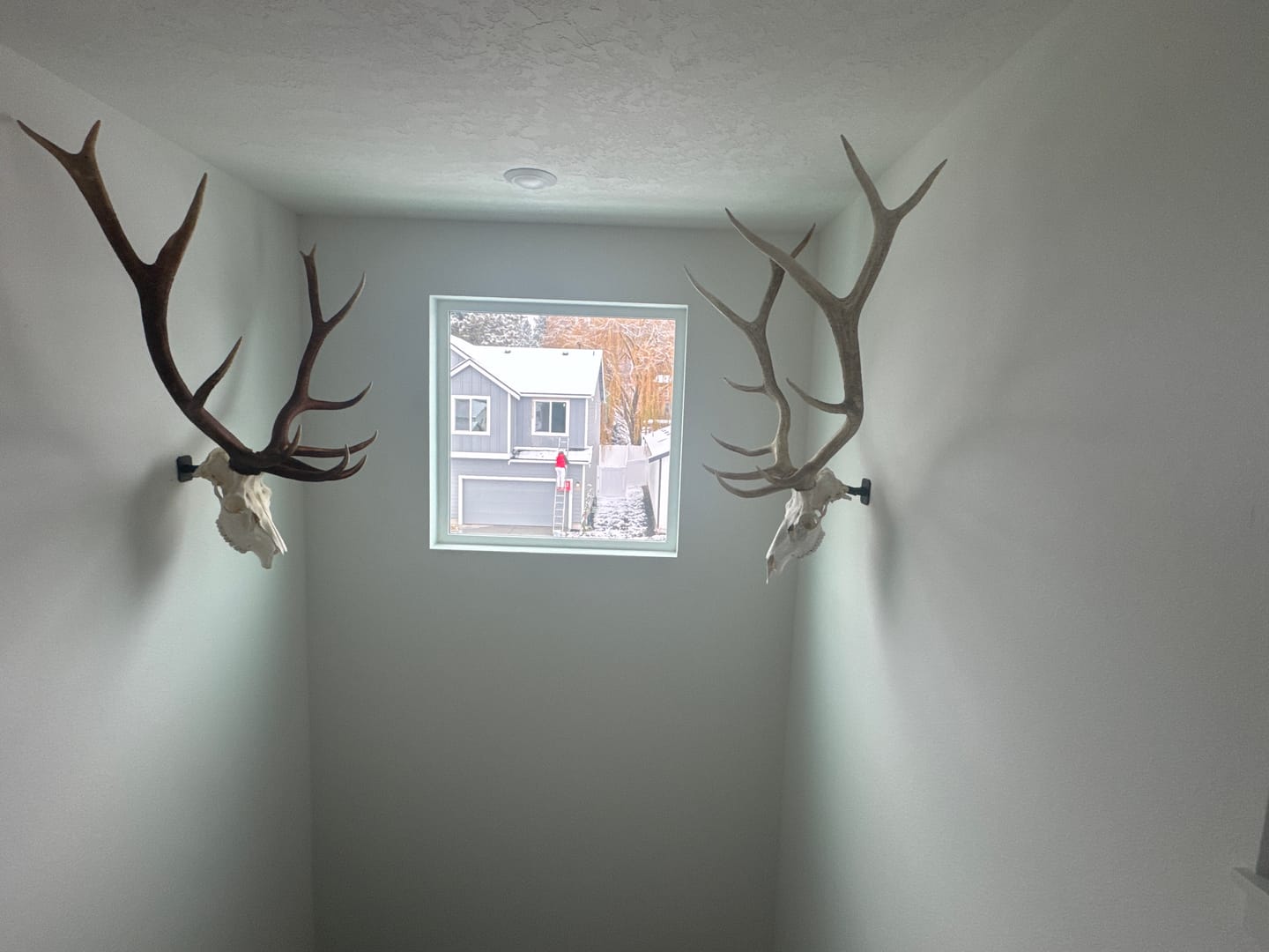 Customer photo review of SkulLok | Large Game