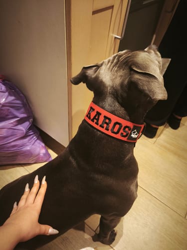 Customer photo review of Obroża dla psa z imieniem - Personal Extreme