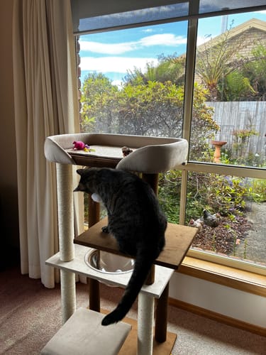 Customer photo review of Luxury Japanese-Style Cat Tree with Large Bed – 90906