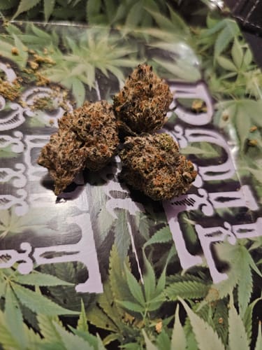 Customer photo review of Lemon Cherry Runtz