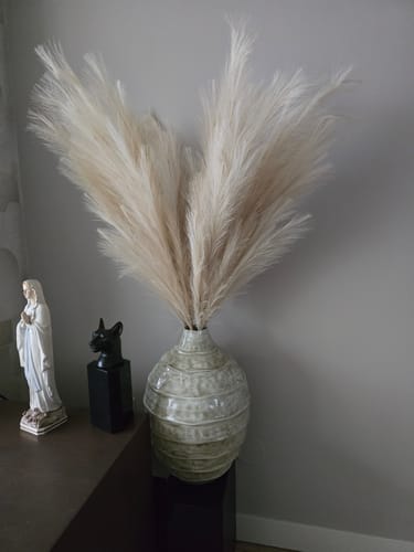 Fotorecensie van een klant over Pampas 110cm (3 stengels)- Beige