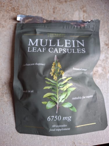 Customer photo review of Mullein Leaf Capsules