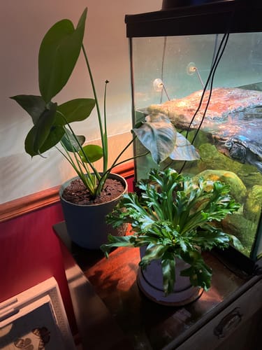 Customer photo review of Grow Power Bundle