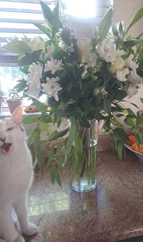 Customer photo review of Classic White Glass Vase