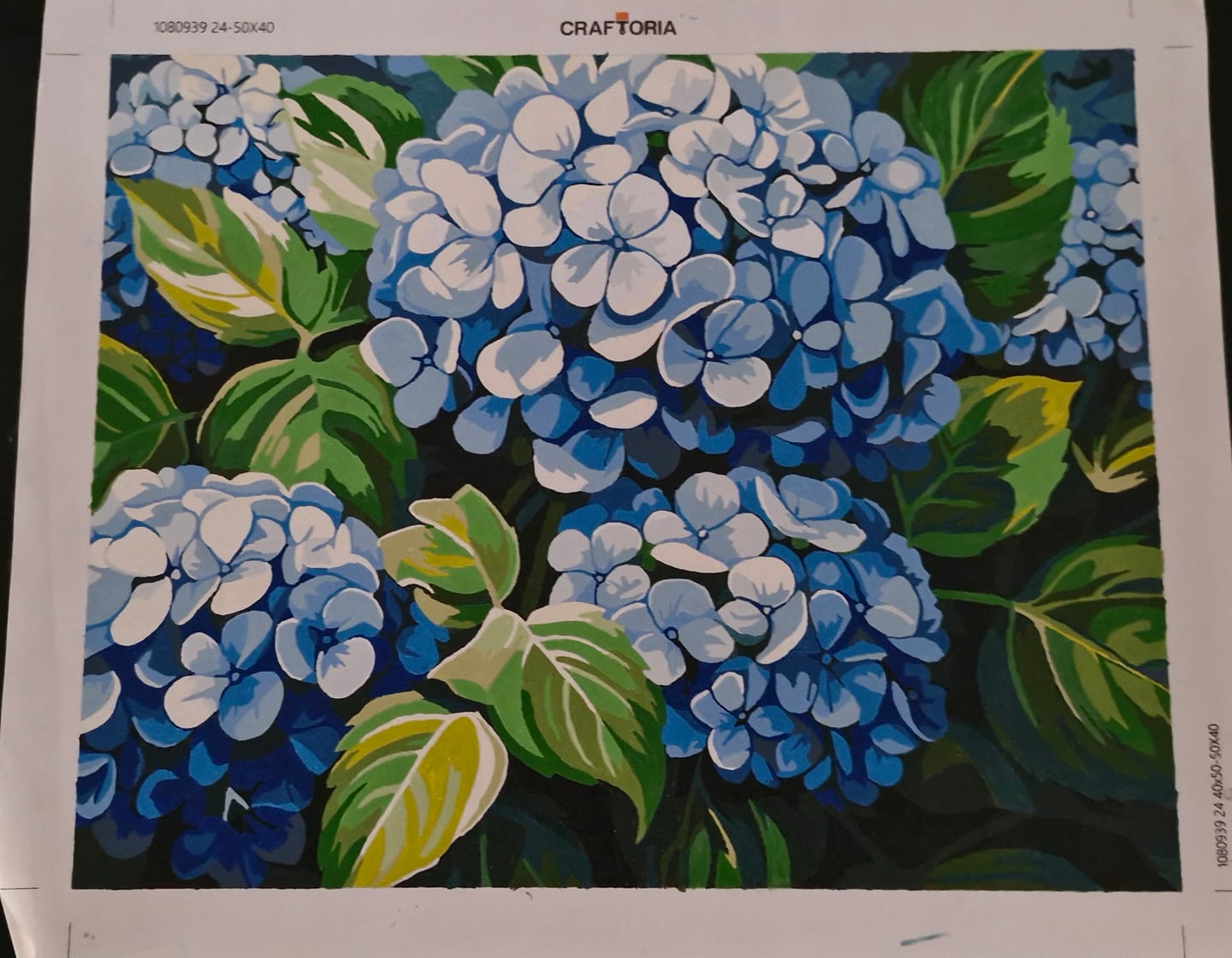 Customer photo review of Clustered Hydrangeas