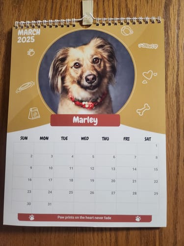 Customer photo review of Official Pupvote Cutest Pets of the Year Calendar (2026)