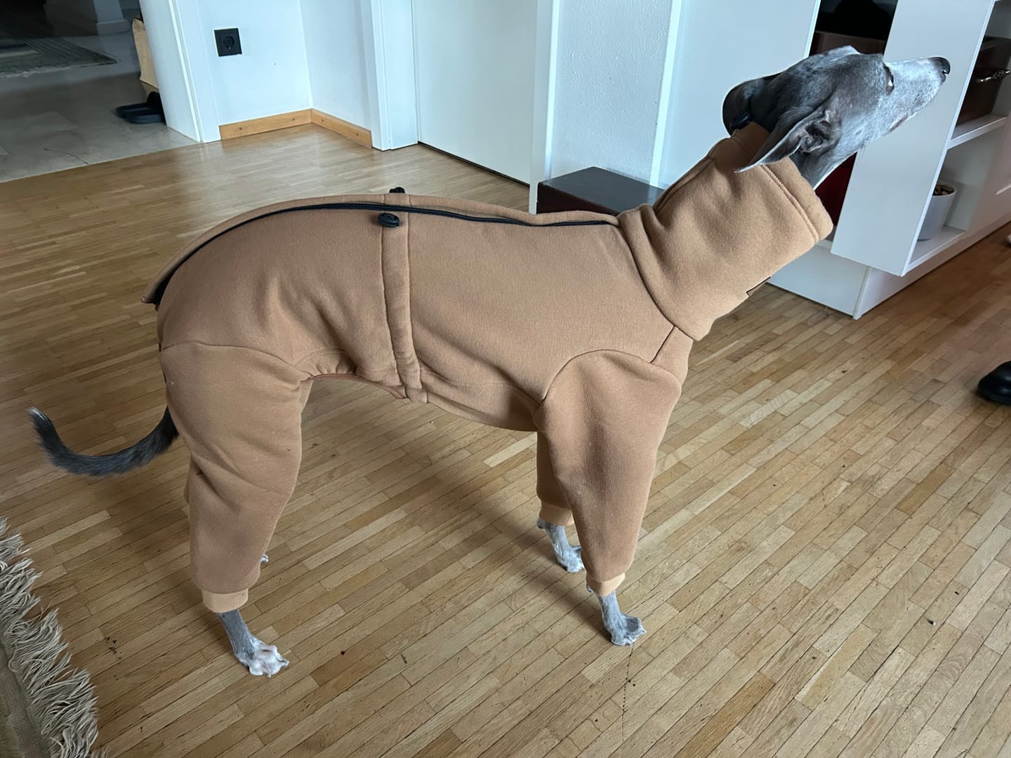 Customer photo review of Nuuk "Camel"