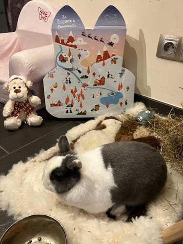 Customer photo review of Calendrier de l’Avent - La Hopbox à CarotteVille