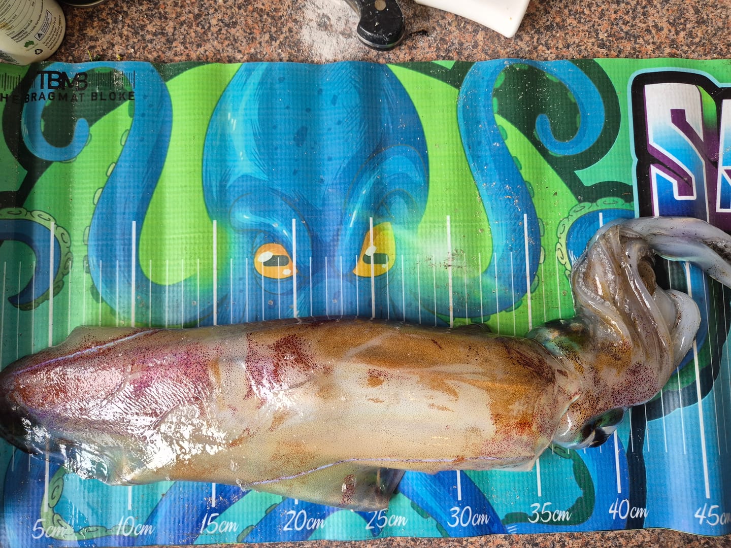 Customer photo review of Tsuriou Yellow Banana Prawn Squid Jig - Tenjikuebi (Slow Sinking)
