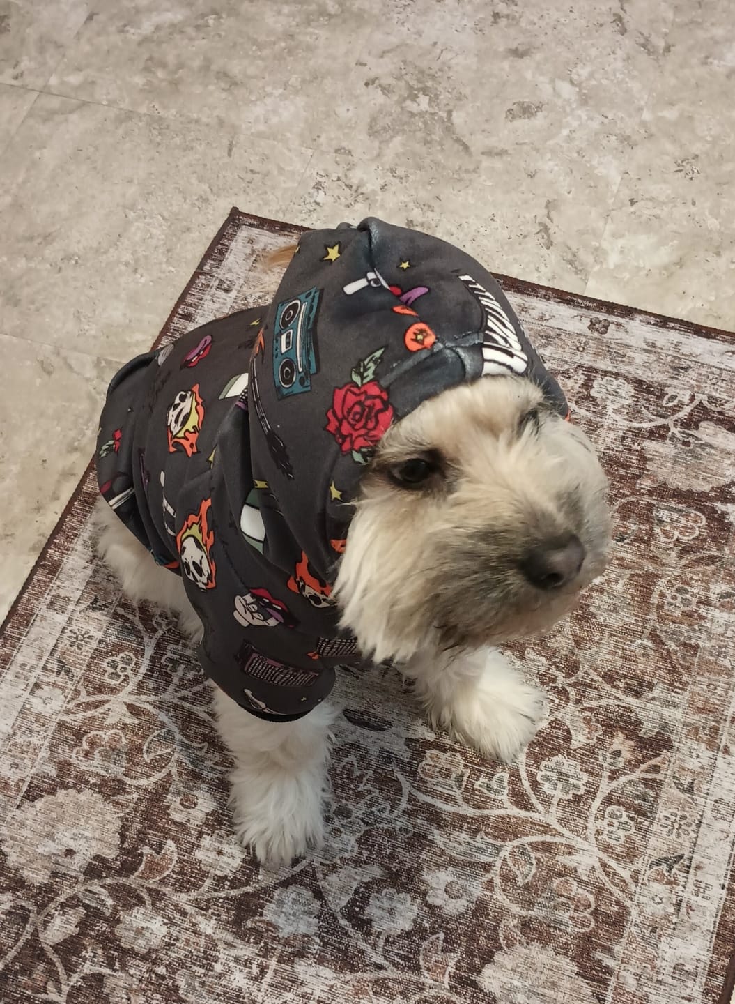 Customer photo review of Rock and Roll Human Hoodie