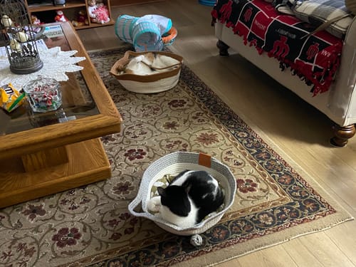 Customer photo review of Instinct Basket | Handwoven & Chemical-Free Cat Territory