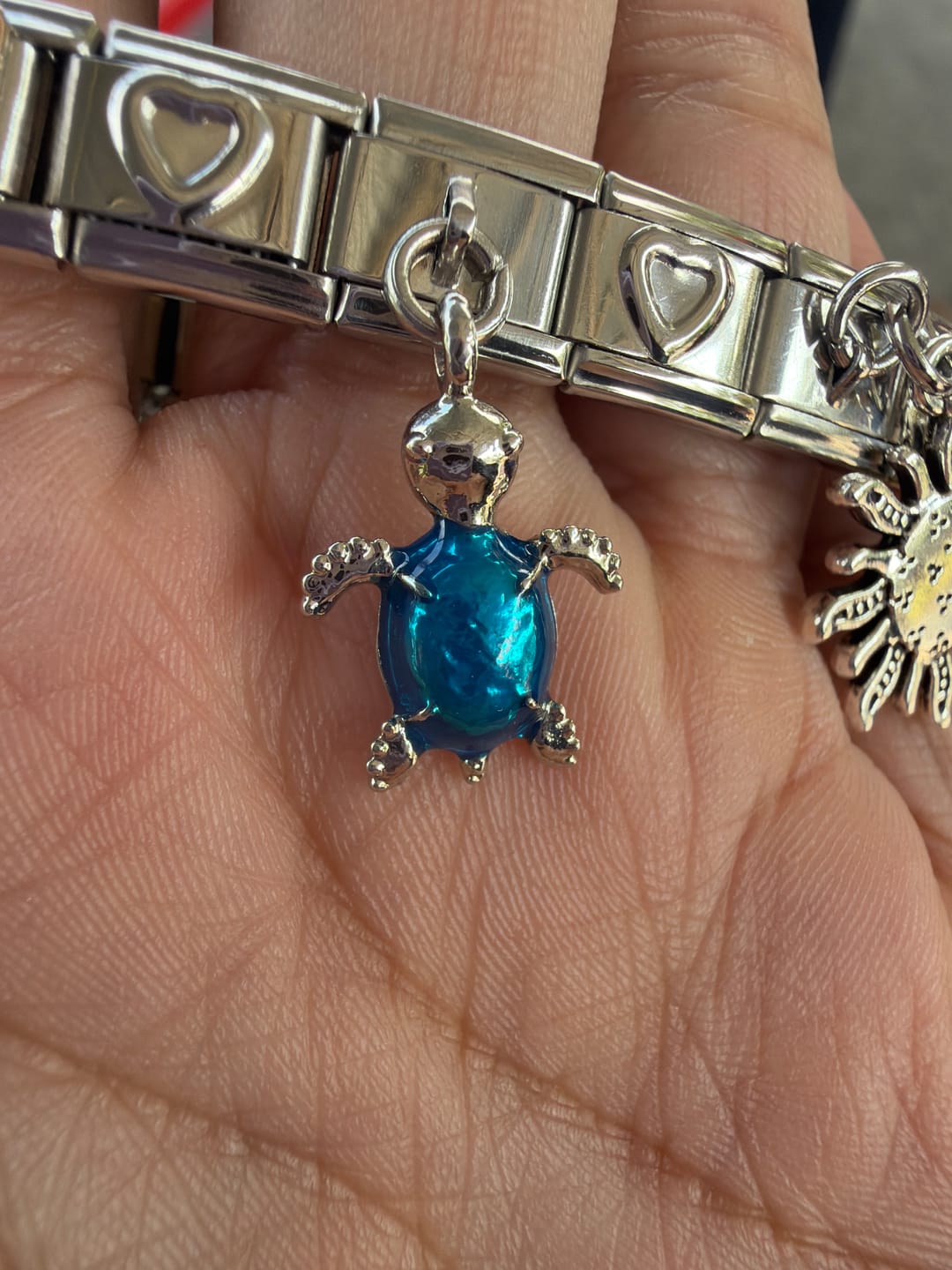 Customer photo review of Charm Tortuga