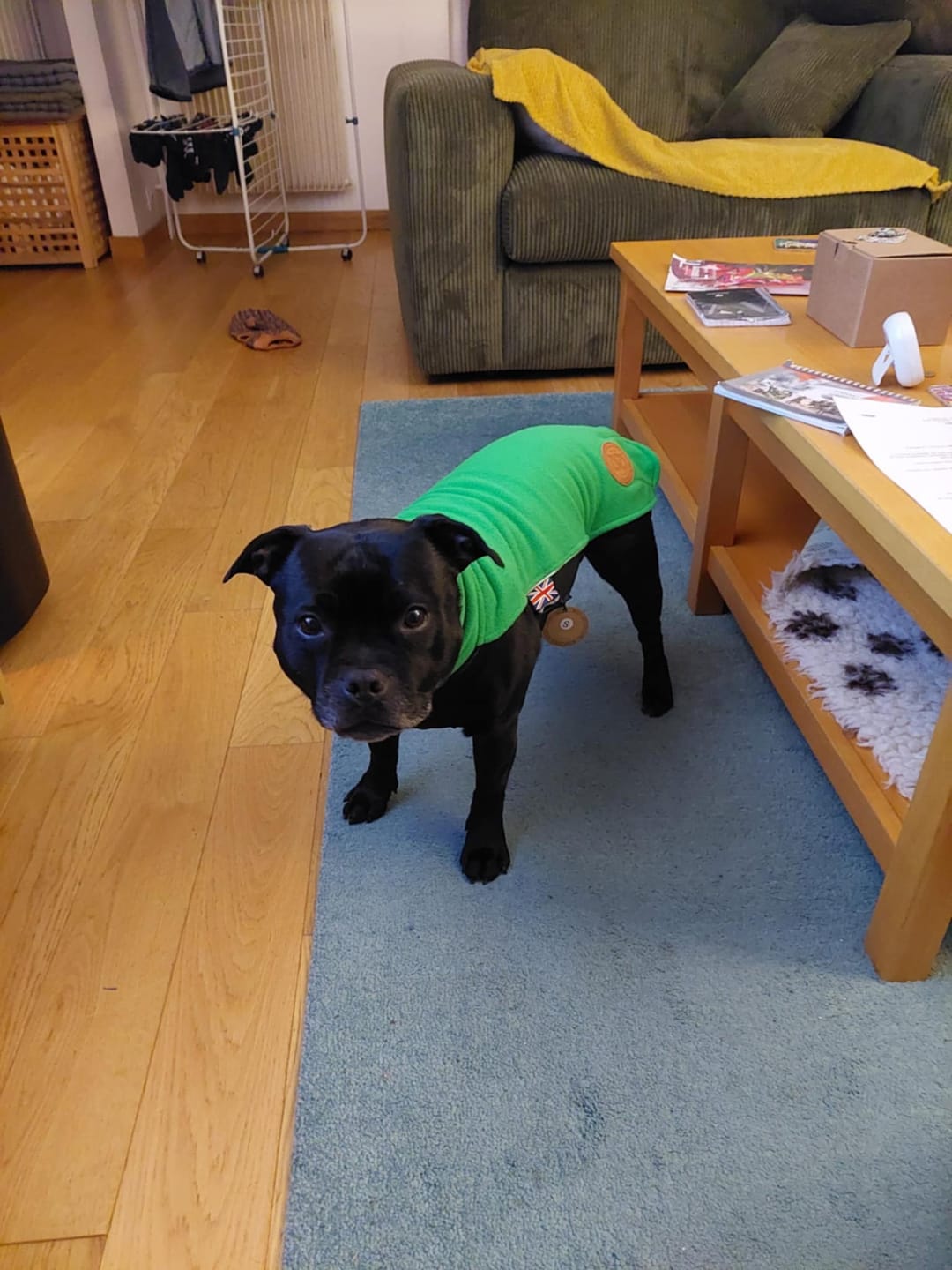 Customer photo review of Staffordshire Bull Terrier 1935® Fleece Coat - Forest Green