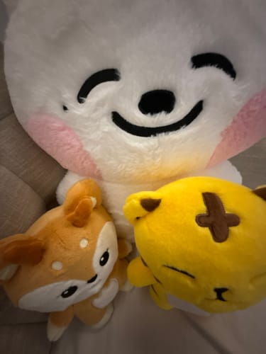 Customer photo review of [Ships Immediately] NCT DREAM - Dreamiez's Dream Forest Popup MD