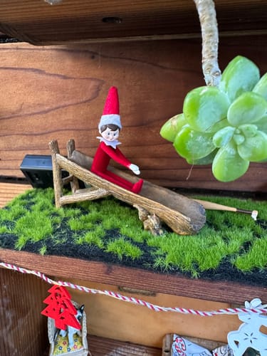 Customer photo review of World's Smallest Elf on The Shelf