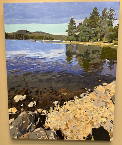 Customer photo review of Custom Landscape Paint By Numbers