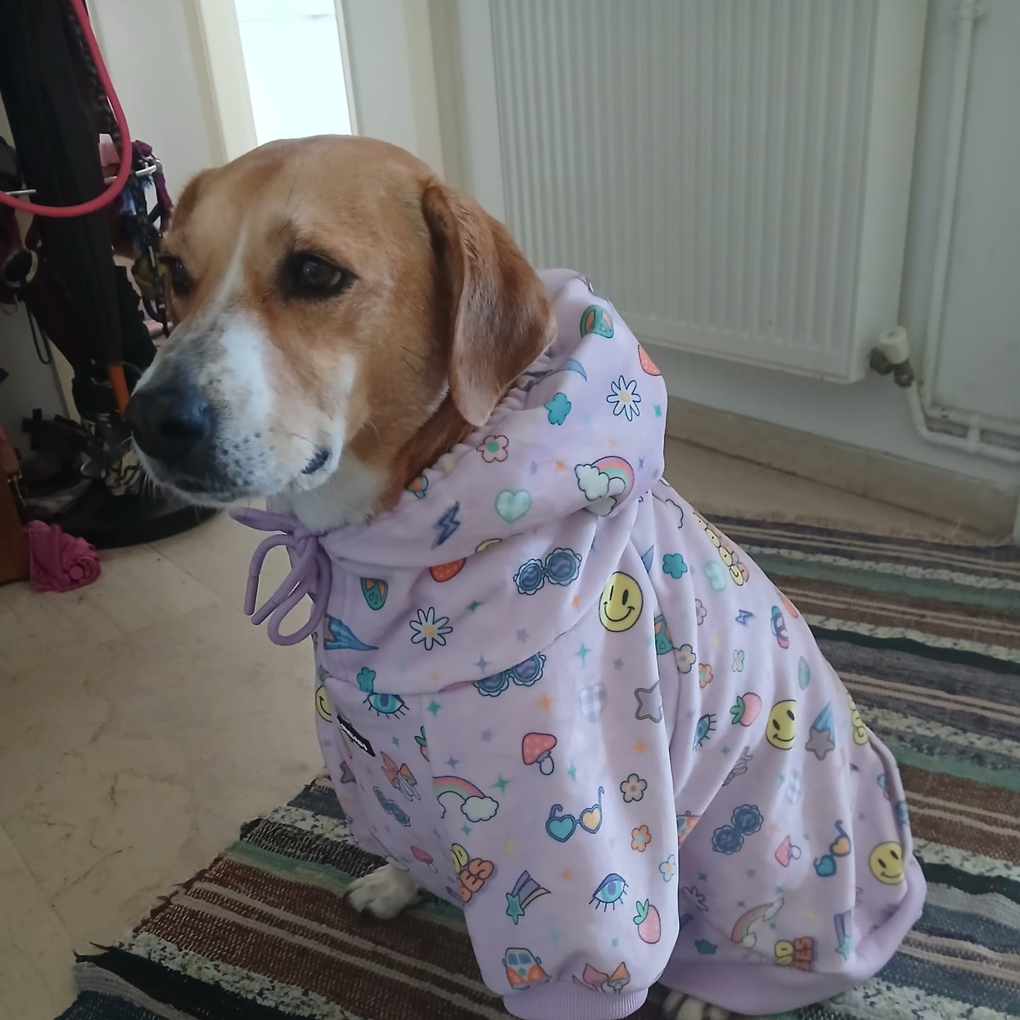 Customer photo review of Good Vibes Dog Hoodie - Purple
