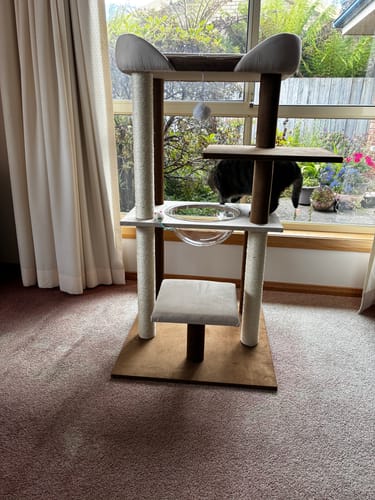 Customer photo review of Japanese-Style Double-Level Cat Tree Cat Sofa - 90901B, Perfect for Window-Side Lounging