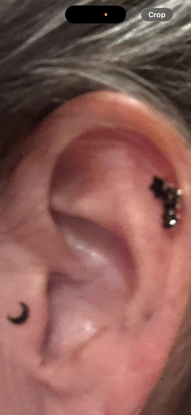 Customer photo review of 14K Gold Minimi Cubic Star & Moon Cartilage Earring 20G